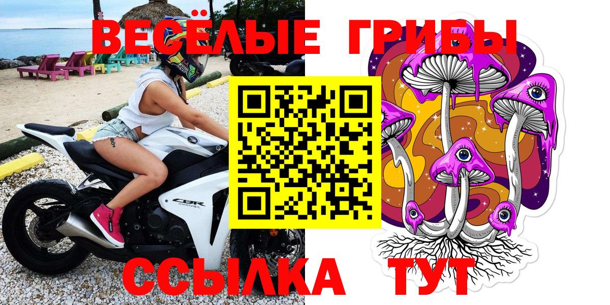 Саратов  Галлюциногенные грибы GOLDEN TEACHER  Вход с VPN 